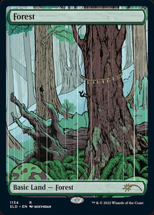 1134-forest