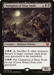 119-championofstraysouls