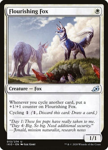13-flourishingfox