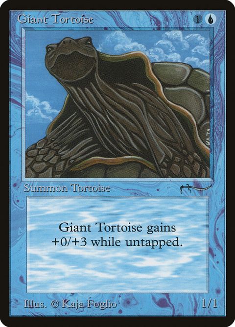 15-gianttortoise