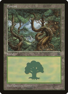 163-forest
