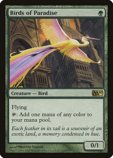 168-birdsofparadise
