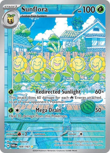 169-sunflora