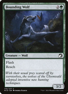 170-boundingwolf