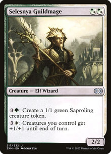 217-selesnyaguildmage