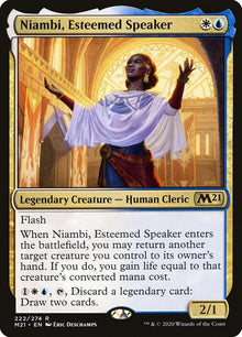 222-niambiesteemedspeaker