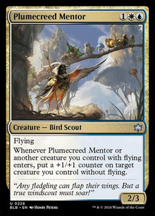 228-plumecreedmentor