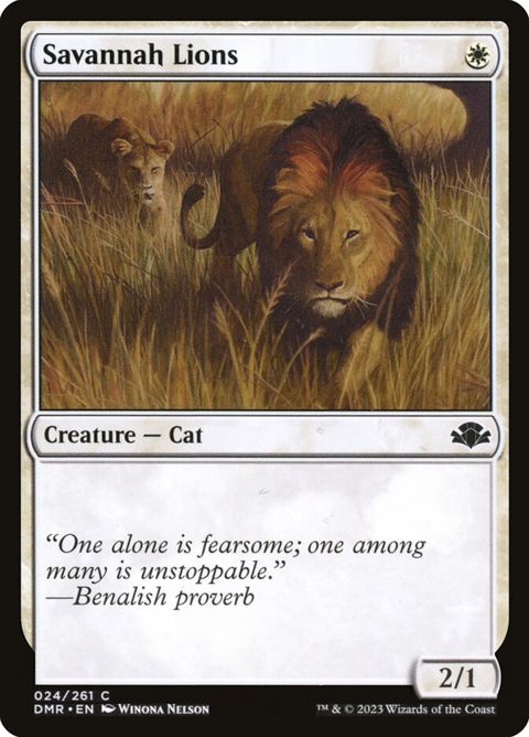 24-savannahlions