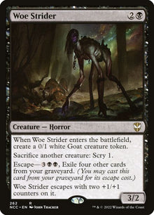 262-woestrider