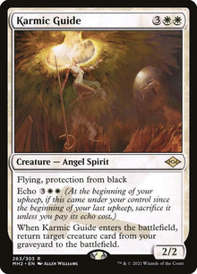 263-karmicguide
