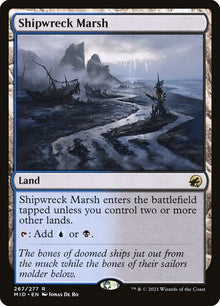 267-shipwreckmarsh