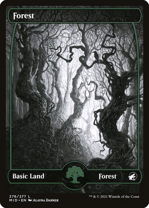 276-forest