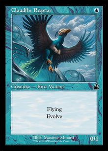 310-cloudfinraptor