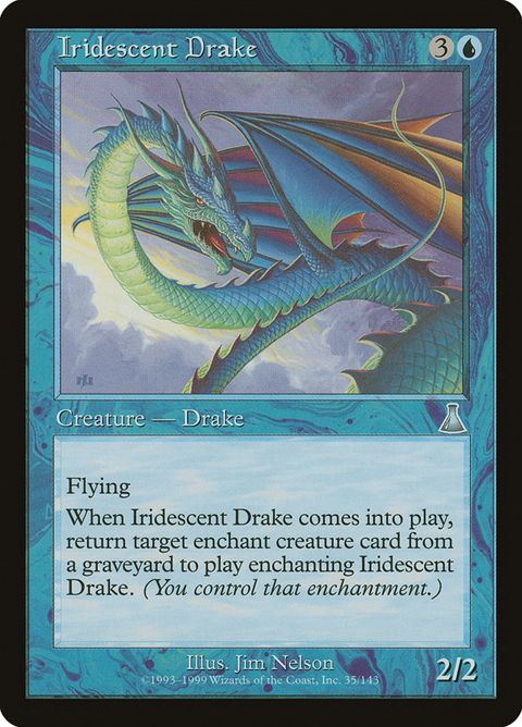 35-iridescentdrake