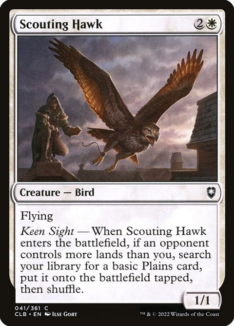 41-scoutinghawk