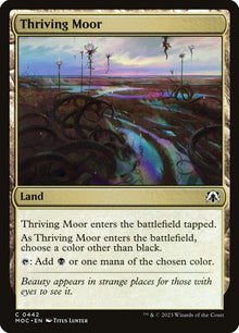 442-thrivingmoor