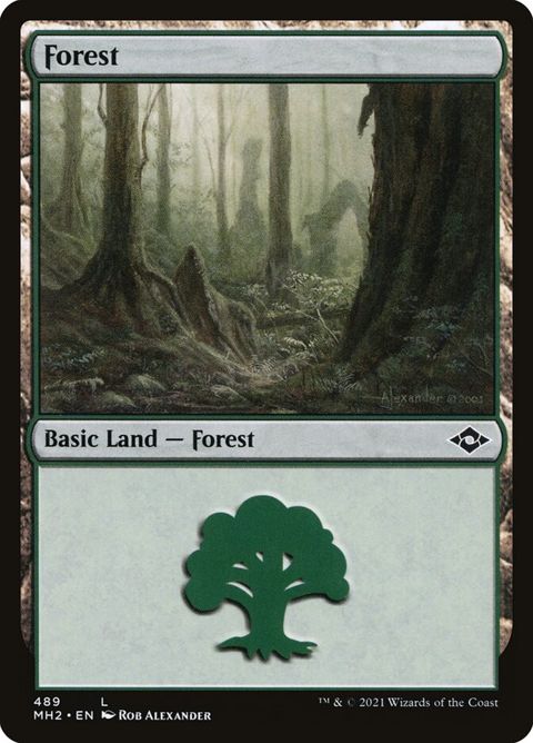 489-forest