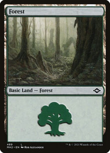 489-forest