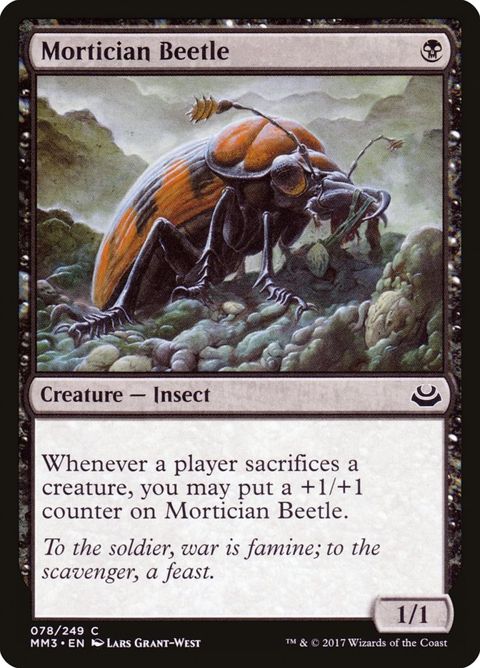 78-morticianbeetle