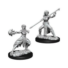 D&D Nolzur's Marvelous Miniatures - Female Half-Elf Monk