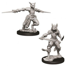D&D Nolzur's Marvelous Miniatures - Female Tabaxi Rogue