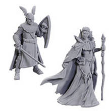 D&D Nolzur's Marvelous Miniatures - Elves