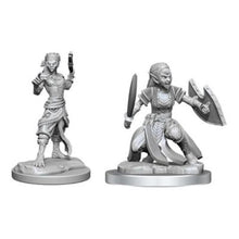D&D: Nolzur's Marvelous Miniatures - Shifter Fighter