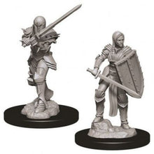 D&D Nolzur's Marvelous Miniatures - Human Fighter