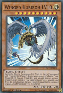 ac19-en023-wingedkuribohlv10