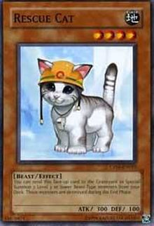 cp05-en015-rescuecat