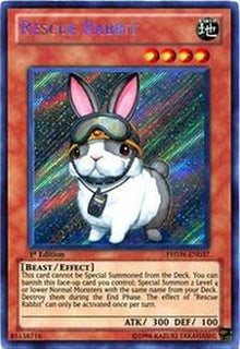 phsw-en037-rescuerabbit