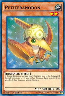 sr04-en000-petiteranodon